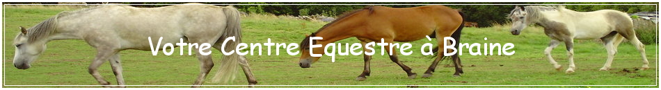Votre Centre Equestre à Braine
